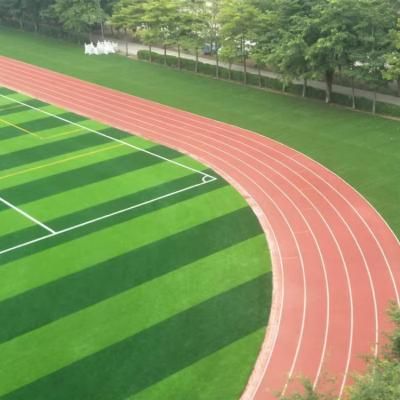Gazon synthétique de haute qualité | Gazon de 3 à 5 cm pour le sport et la terrasse